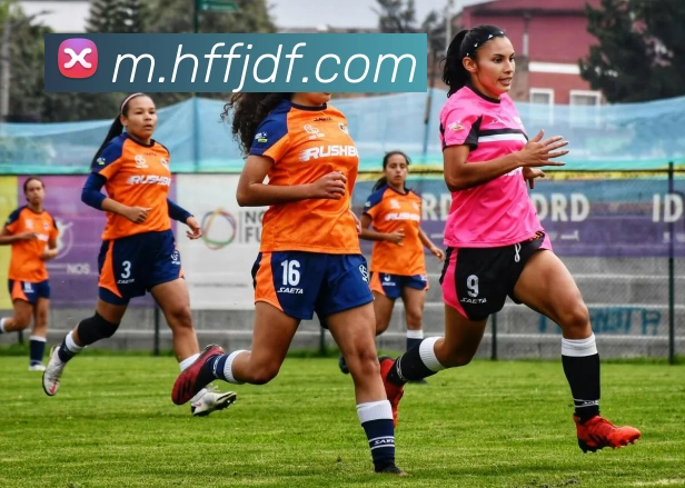 巅峰国际APP 体育赛事宣传图